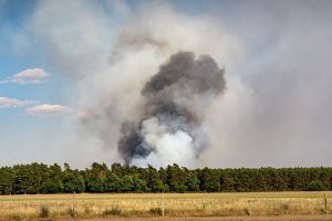 Ein Wald brennt aus der Mitte heraus. Die Waldbrandbekämpfung stellt sich als schwierig dar, da der Brandherd durch den vielen Rauch nicht sofort lokalisiert werden kann.  
