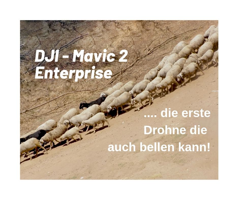 DJI-Mavic 2 Enterprise