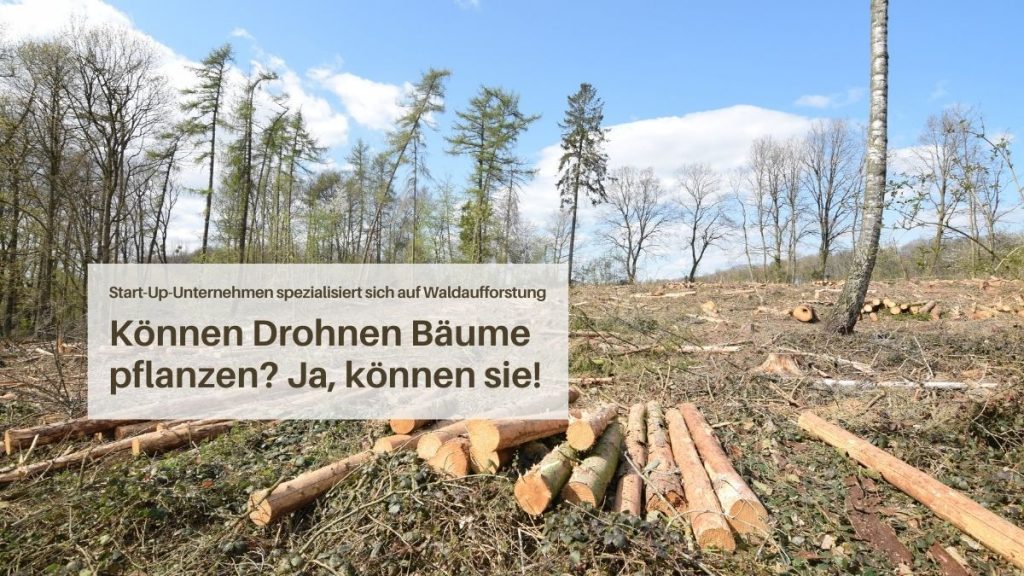Drohnen forsten Wald wieder auf